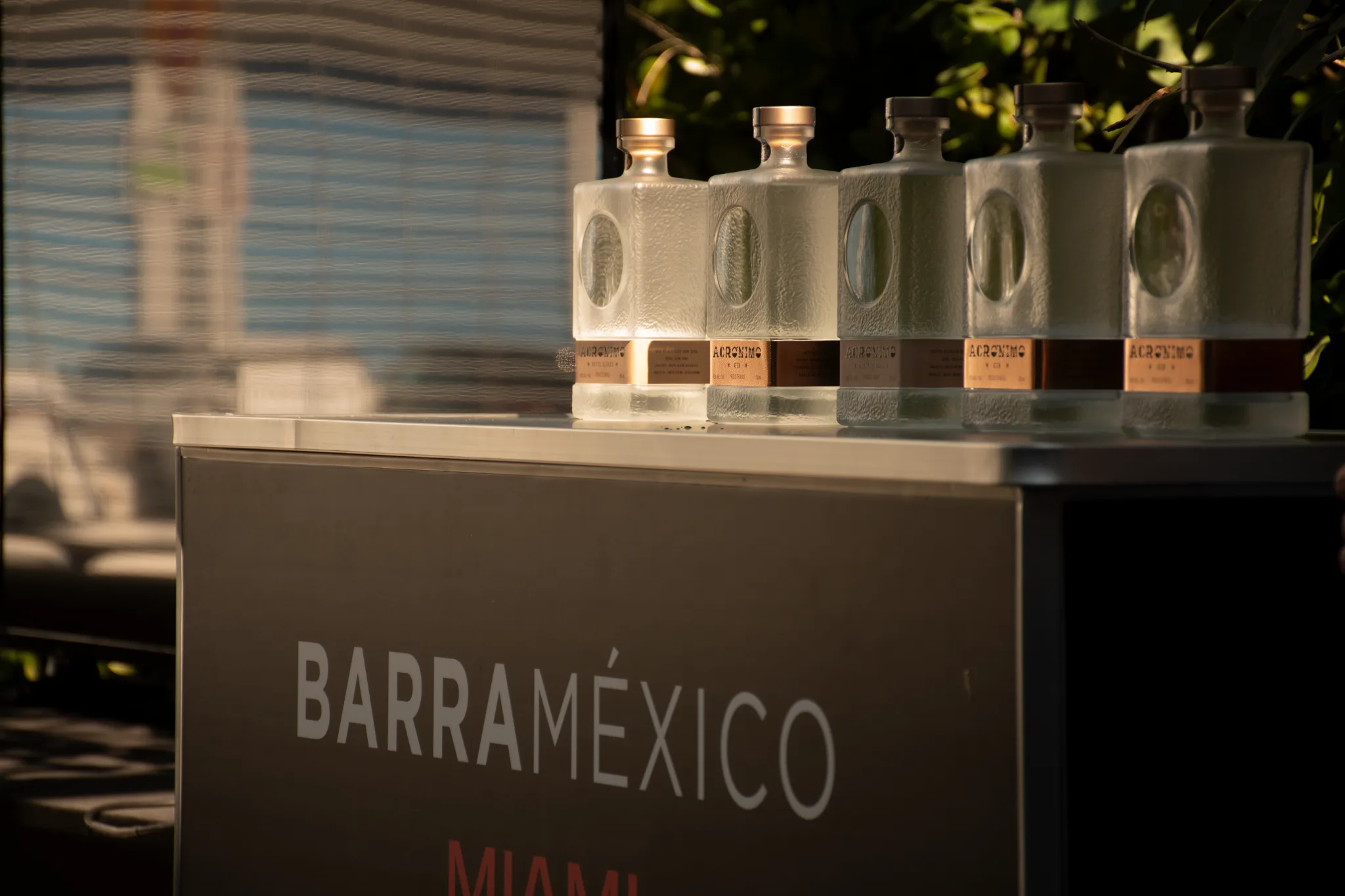 From Sotol Blanco to Sotol Gin