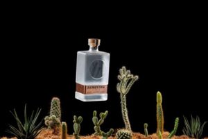 Botanicals in Gin - Acronimo top sotol
