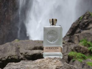 sotol the premier chihuahua spirit
