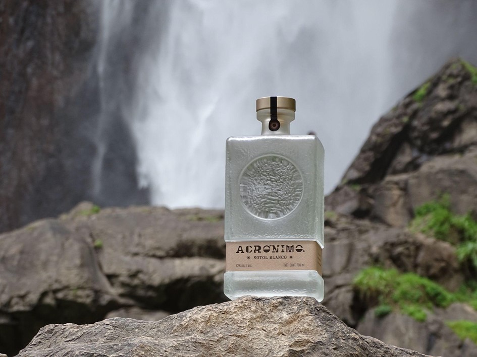 sotol the premier chihuahua spirit