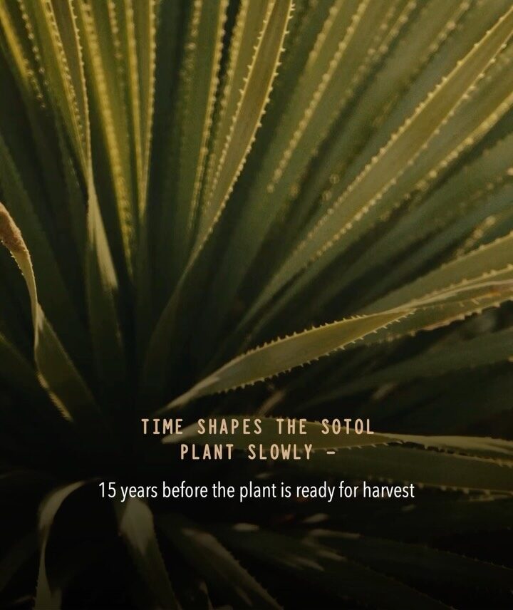 Instagram post from acronimo.spirits. This post is in position 1.